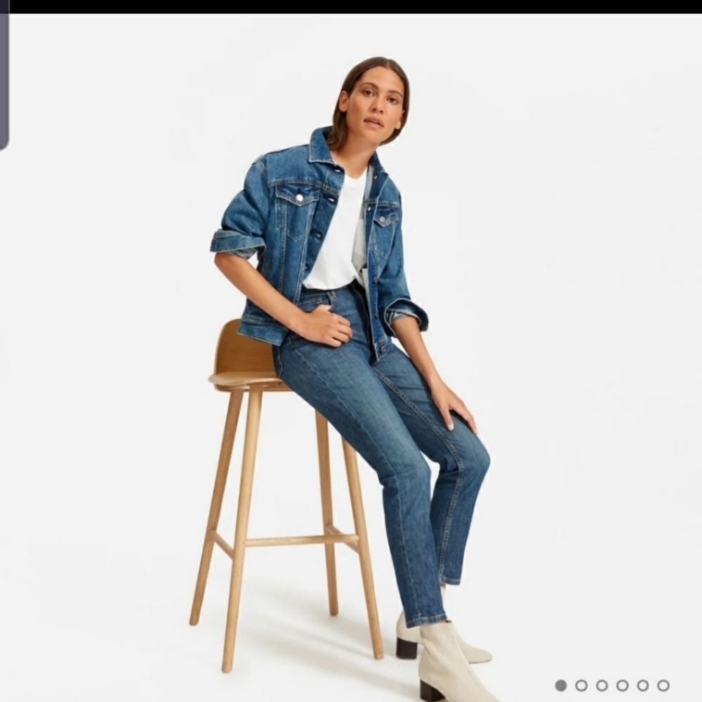Everlane midrise dark wash ankle jeans Sz 25